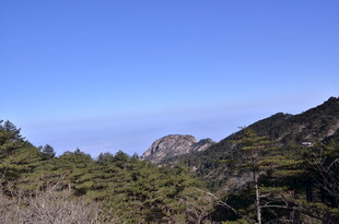 山间景致 葱郁林木与远山