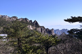 黄山秀丽山景与苍松