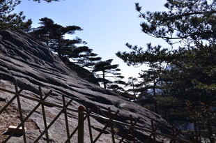 山间栈道旁的苍松与岩石