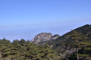 秀丽山峦与葱郁林木