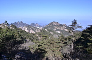 山峦松林间的壮阔景致