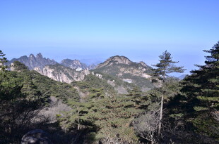 壮丽山景 葱郁山林