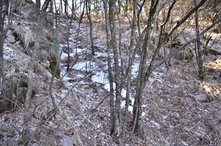 冬日林间残雪景象