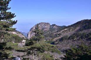 秀丽山景 松与峰的壮美画面