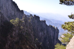 峻峭山峰与葱郁树木景观