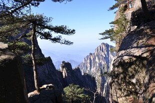 黄山奇峰与苍松景观