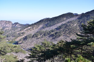 秀丽山峦间的葱郁景致