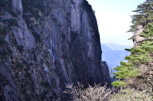 陡峭山壁与葱郁树木景观