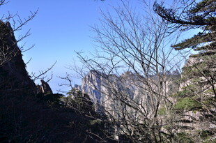 山间景致 枯树与远处山峦