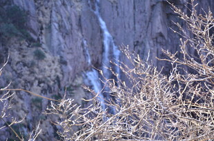 山间枯木旁的瀑布景观