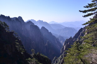 壮丽山景 松木点缀