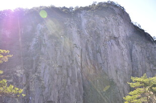 巍峨山峰与葱郁树木景观