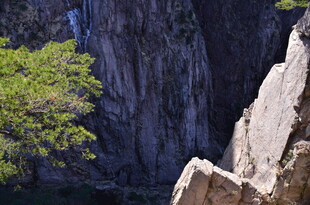陡峭山崖旁的翠绿树木