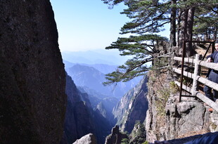 悬崖栈道旁的壮美山林景色