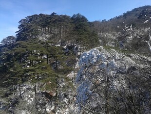 巍峨山峰覆盖稀疏植被