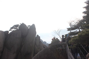 嶙峋山石与葱郁树木景观