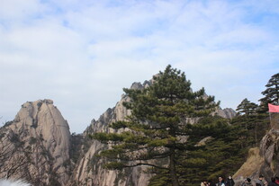 黄山奇峰与苍松景观