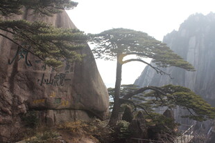 黄山迎客松 峻岭奇景