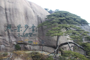 黄山奇峰与迎客松景观