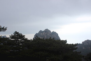 云雾中的山峦与树木