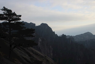 壮丽山景与孤松