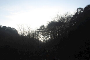 山林暮色剪影