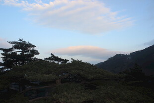 山间云景 松影绰约