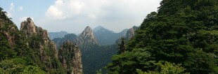 壮丽山景 葱郁山林