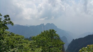 山间绿意 云雾缭绕美景