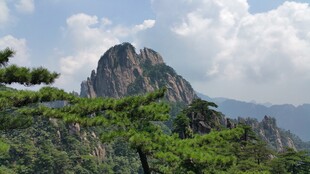 巍峨青山伴葱郁绿树