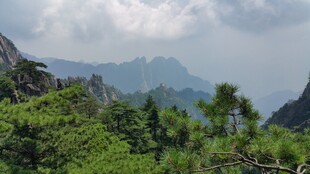 青山绿树间的秀丽山景