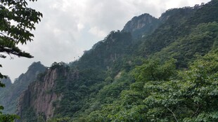 秀丽山峦 绿意盎然的景致