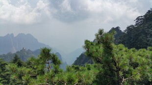 青山绿树间的秀丽山景