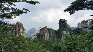 奇峰林立的山林景观