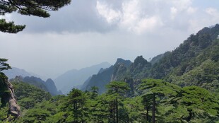 壮美山峦间的葱郁绿意