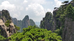 壮美黄山奇峰绿树景观