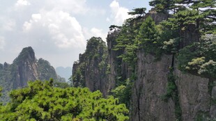 壮丽黄山奇峰绿意景观