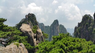 壮丽黄山奇峰与葱郁植被