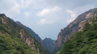 壮丽山景 绿意盎然的峡谷