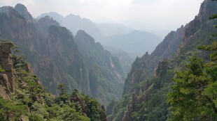 壮丽山峦间的葱郁景致