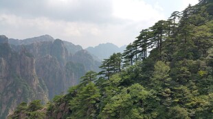 壮丽山景 植被覆盖的陡峭山峰