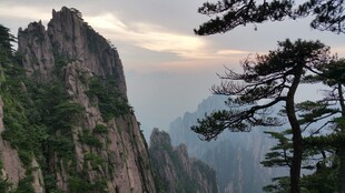 黄山奇峰劲松壮丽景观