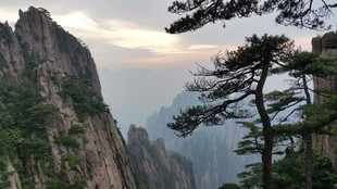 黄山奇峰与苍松美景