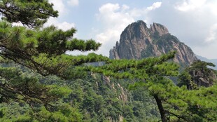 黄山松景 巍峨山峦