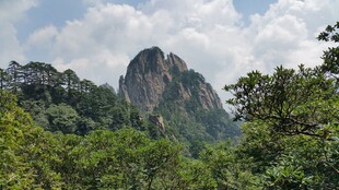 青山绿树间的巍峨山峰
