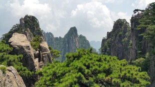 壮美黄山奇峰绿树景观