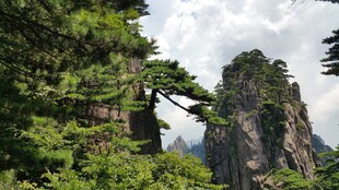 奇峰耸立的山林景观
