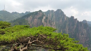 黄山奇松与壮丽山峦