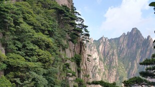壮丽黄山奇峰与葱郁植被