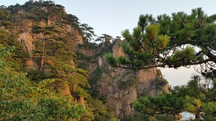 壮丽山景与葱郁树木